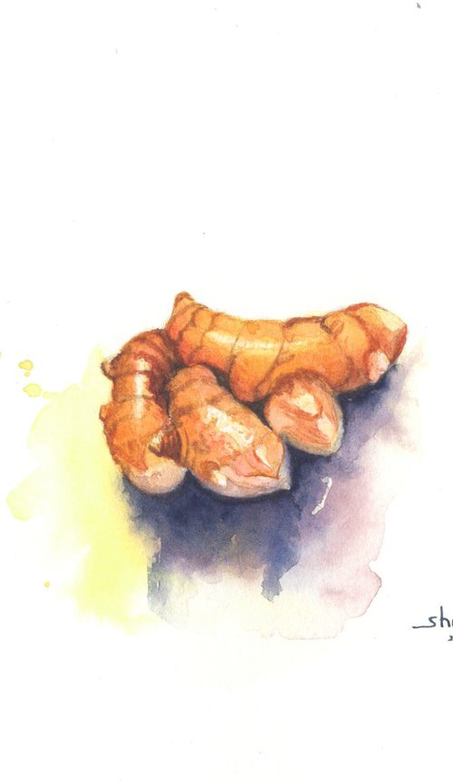 Yellow Turmeric Root by Shweta  Mahajan