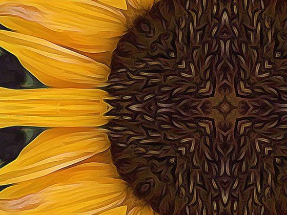 Folk Art Sunflower