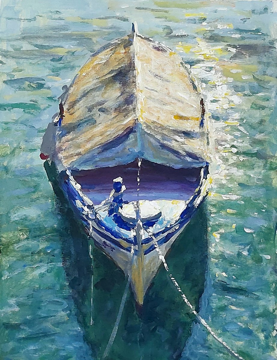 Covered boat by Dimitris Voyiazoglou