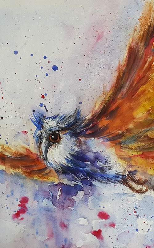 Free flight by Anastasia Kozorez