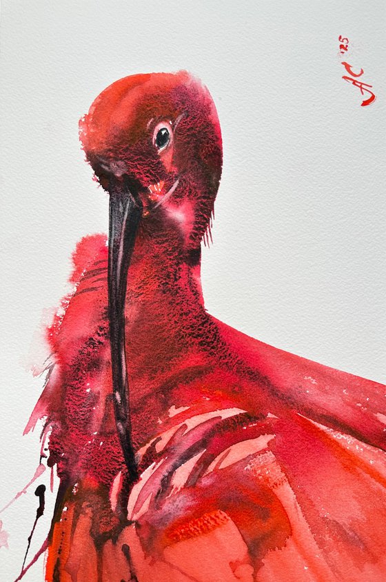 Birds: Two Scarlet Ibises