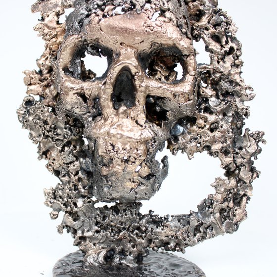 Skull mountain 51-22 - Skull in steel and bronze on a lace metal