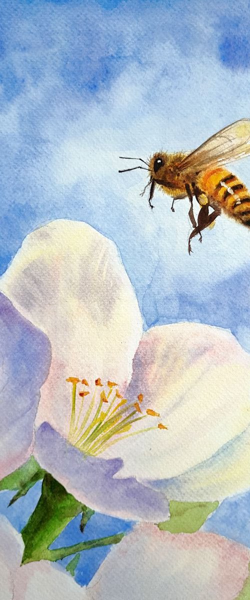 Bee and Flowers  - Bumble Bee by Olga Beliaeva Watercolour