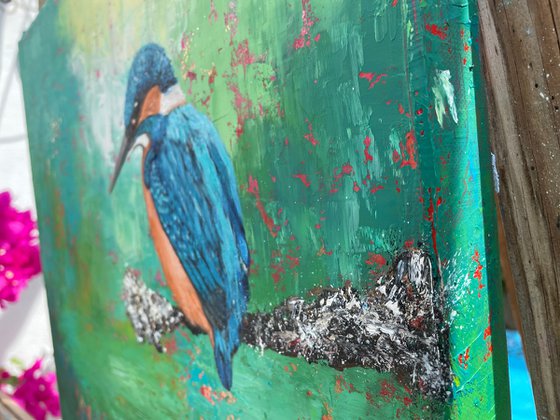 Kingfisher by the River