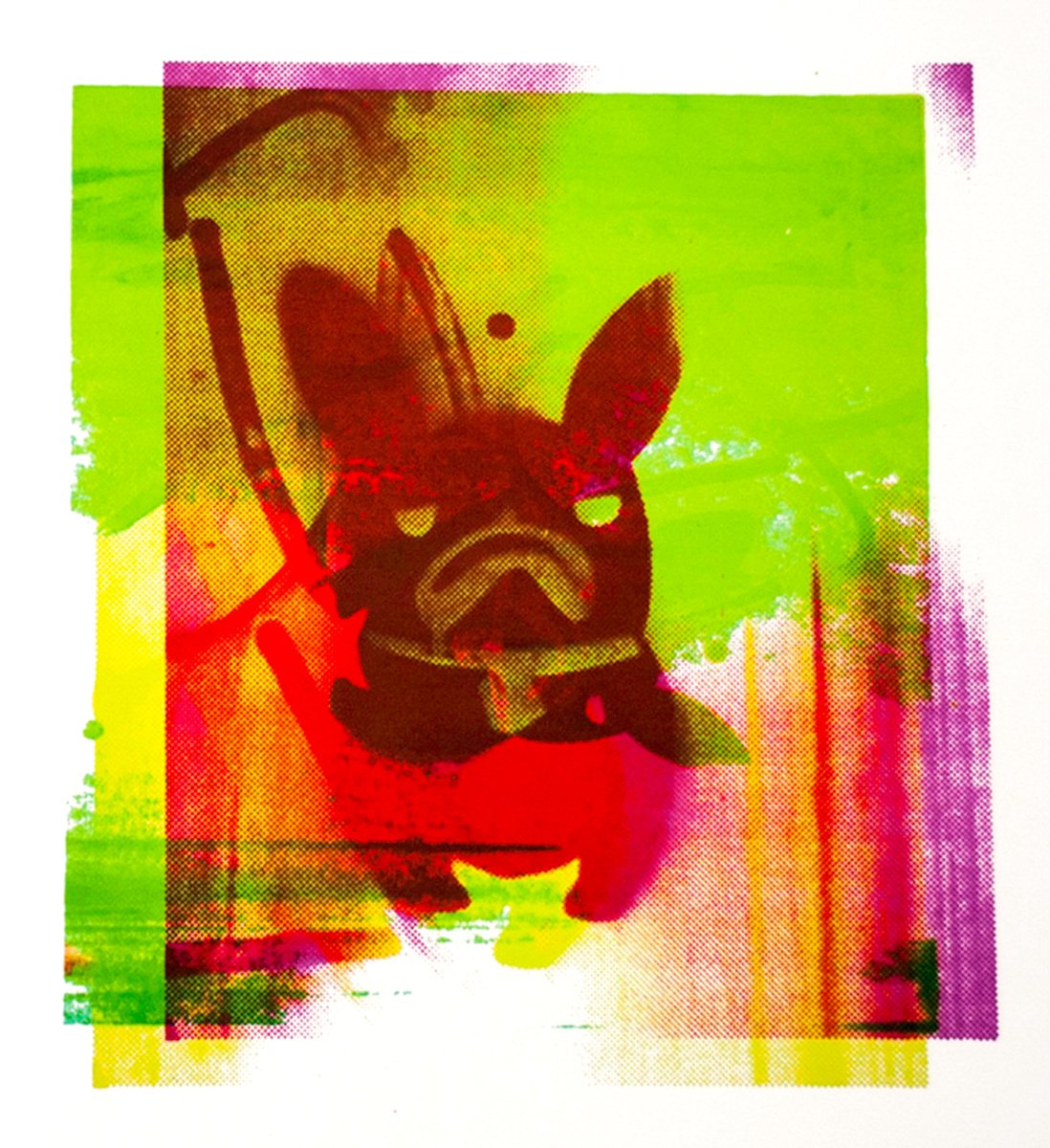 Buster (French Bulldog) by AH Image Maker