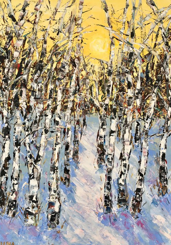 Sunset in a birch forest