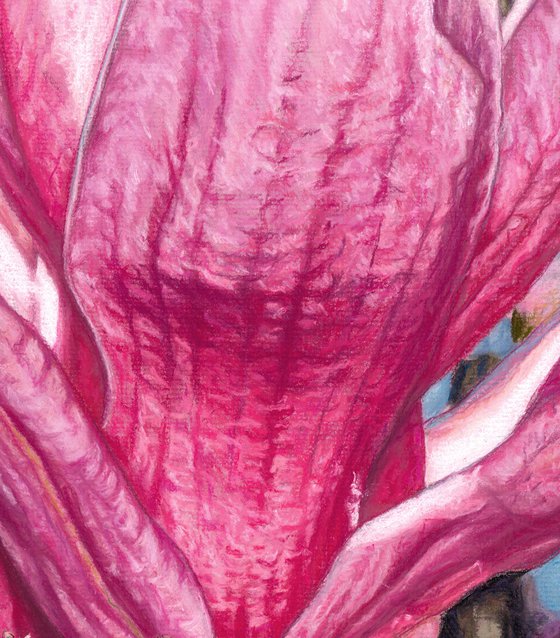 Original Magnolia Painting | Magnolias in Astoria | Soft Pastel Drawing | Pink Flower Home Decor