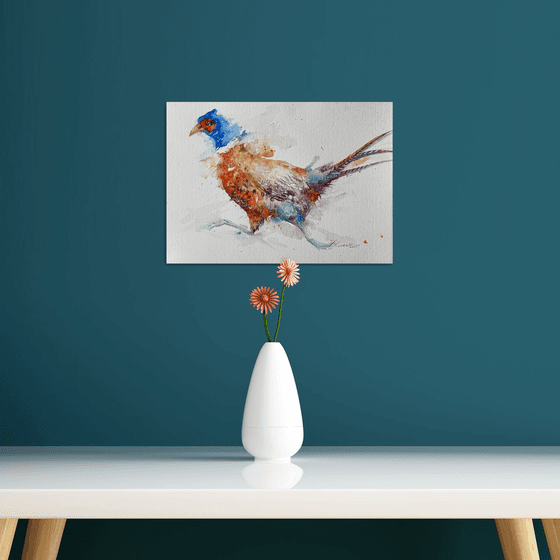 Run for it _ Pheasant