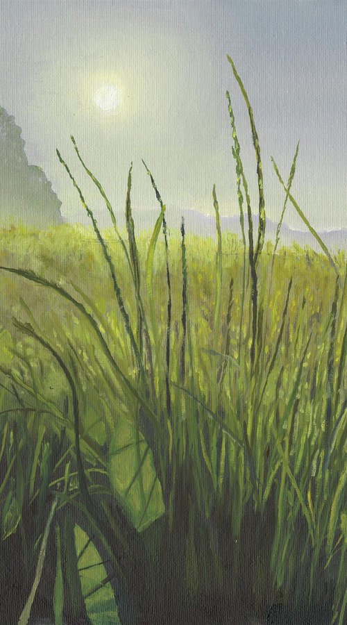 Dawn Light over a Sussex Meadow by Chris Marshall