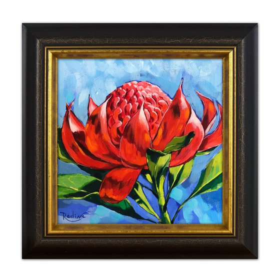 Waratah flower – framed original