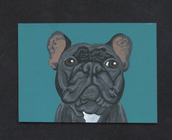 Black French Bulldog