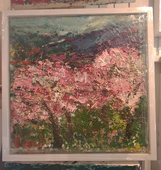 Cherryblossoms