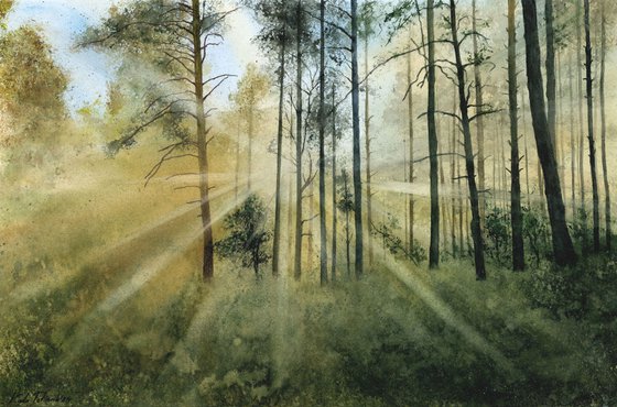 Sunlight in the forest, 57x38