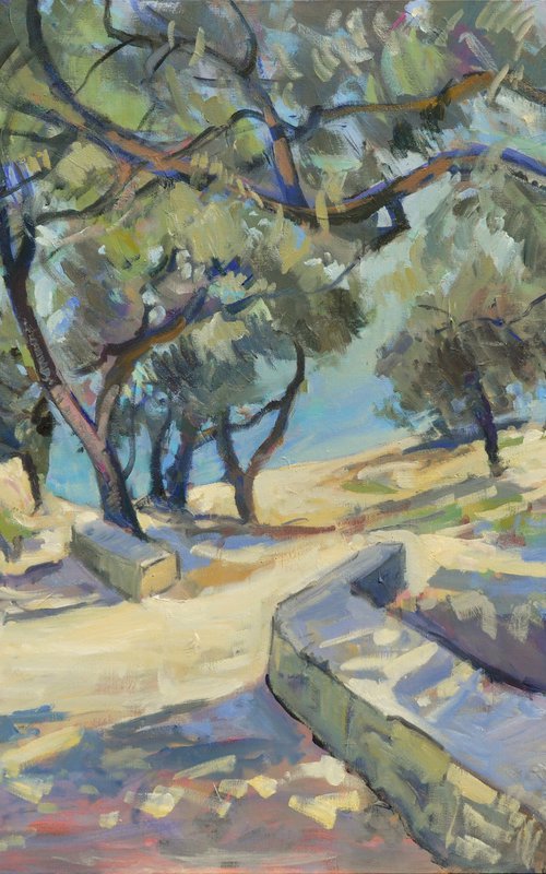 Footpath to Marmari Beach at Paxos by Nop Briex