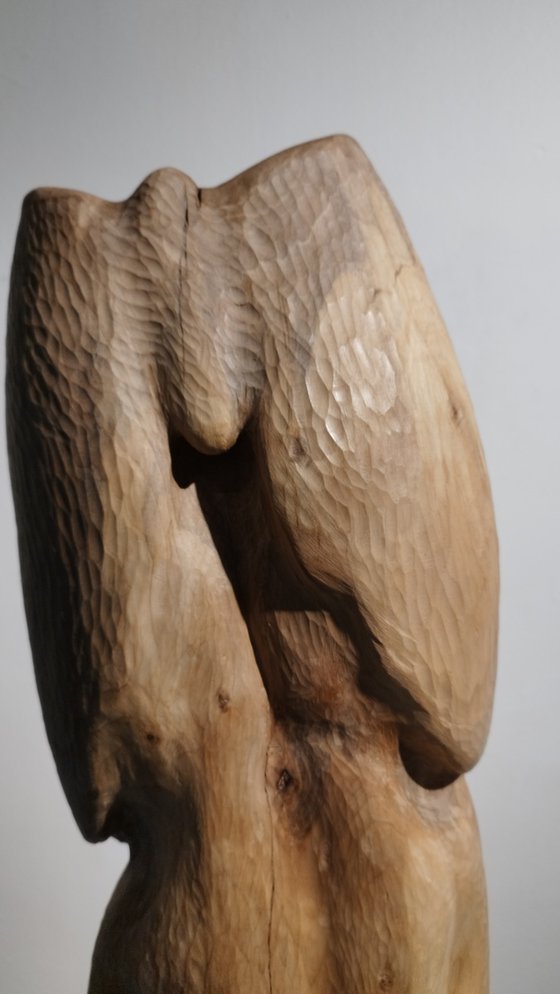 Torso