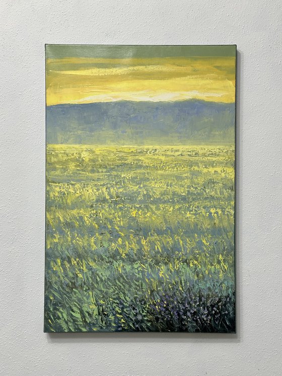 Field at Sunrise A24 40x60cm.