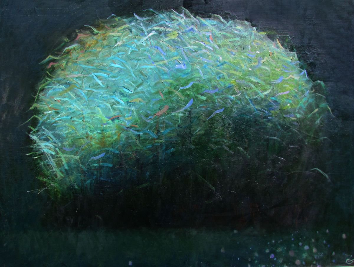 Reed bush by Teimuraz Gagnidze