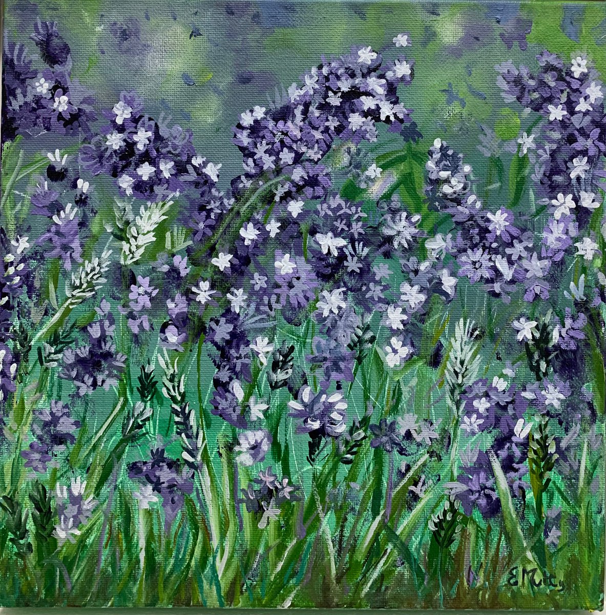 Just lavender by Elisabetta Mutty