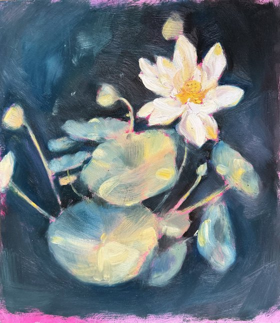 Lily in the Dark