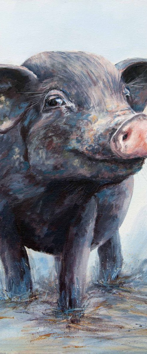 Milly the Pig by Ruth  Aslett