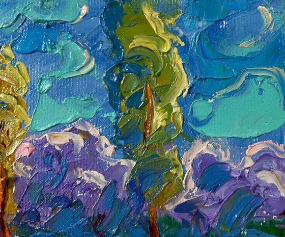 Spring on the meadows