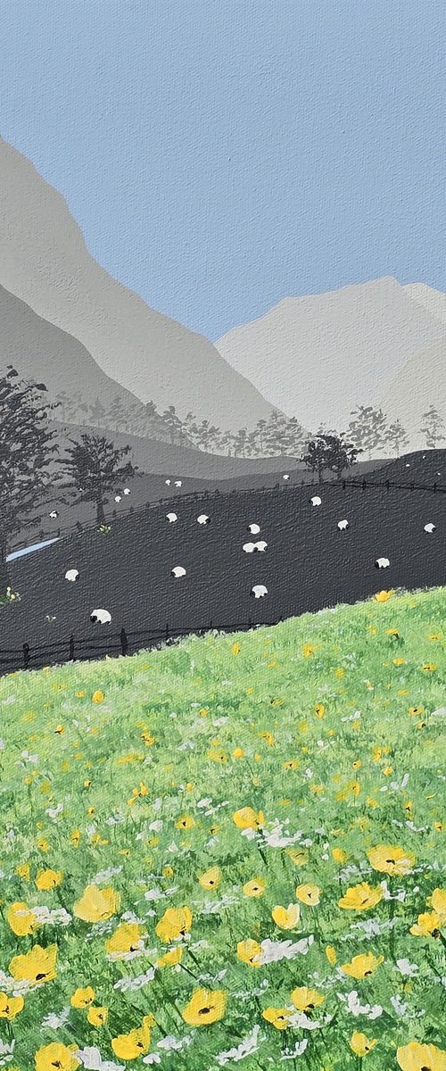 Patterdale Meadow by Sam Martin
