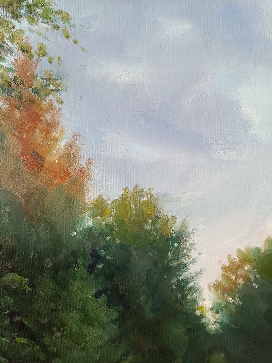 Road in the forest