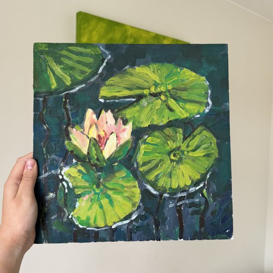 Water lilies