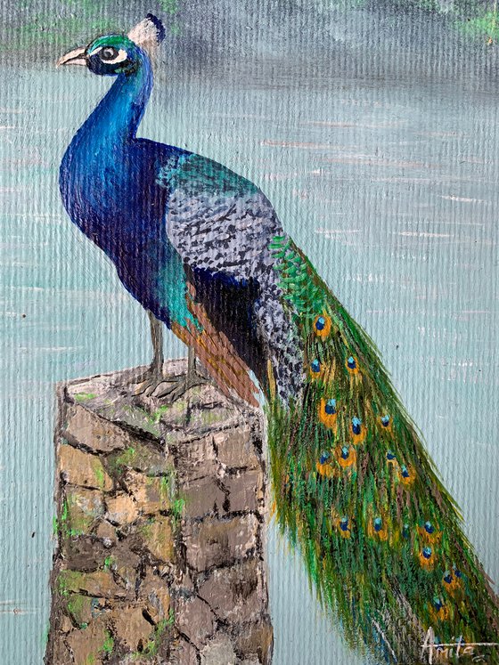 Peacock! A4 size Painting on paper