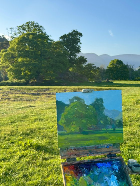 Roman Fort, Ambleside