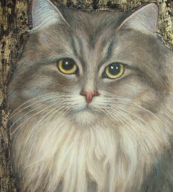 "Siberian cat"