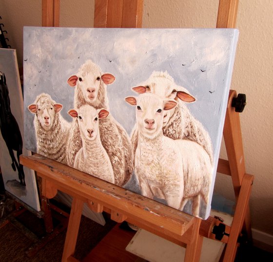 Curious Sheeps