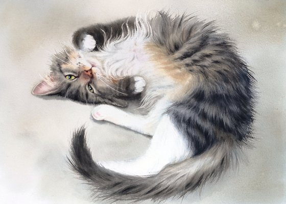 Complete Trust - sleeping cat