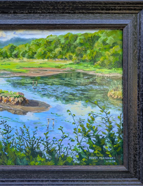 Saltram Marshes
