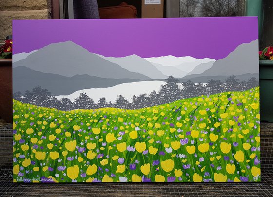 Buttercups above Loweswater, Lake District