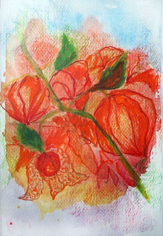 Physalis /  ORIGINAL PAINTING