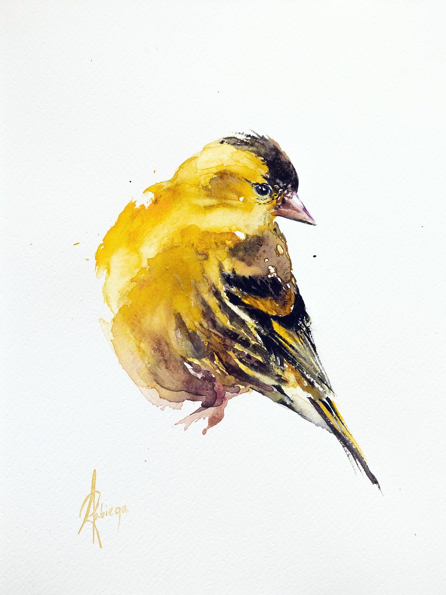 Animal Watercolour By Andrzej Rabiega, 9 X 12, Eurasian Siskin 2, Original Artwork