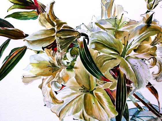 Bouquet of lily /Casa Blanca