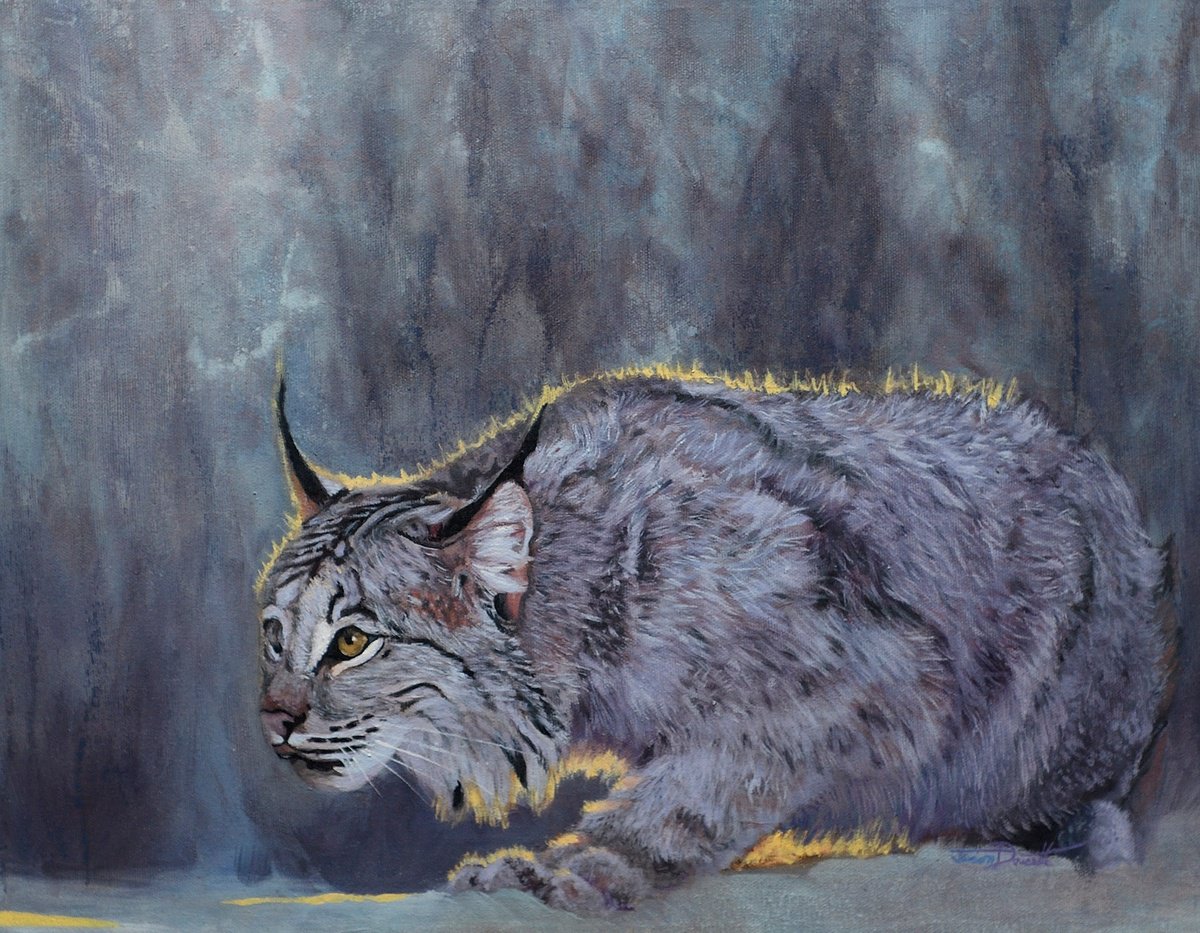 Photorealistic Animal Oil Painting By Jason Edward Doucette, 18 X 14, Ready To Pounce, Original Artwork