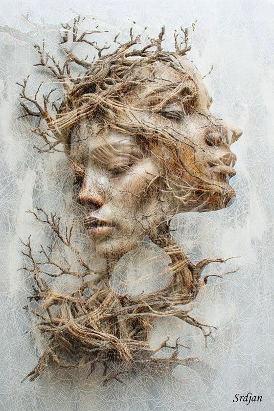 Rooted Resonance