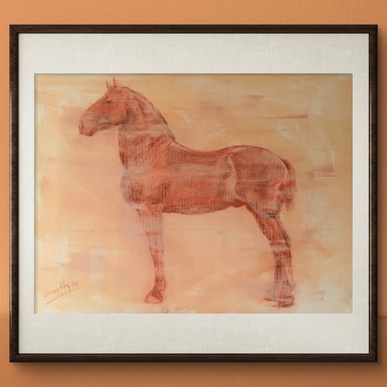 Percheron Stallion Study