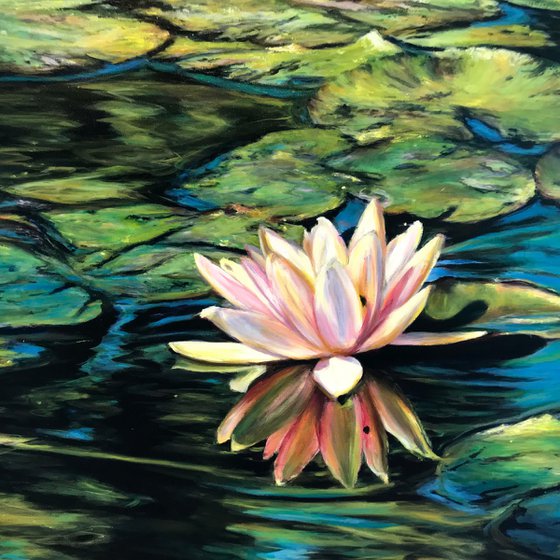 "In the white lotus flower"