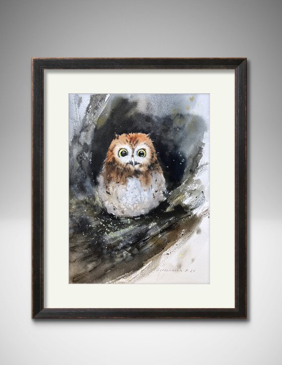 Owl in a hollow