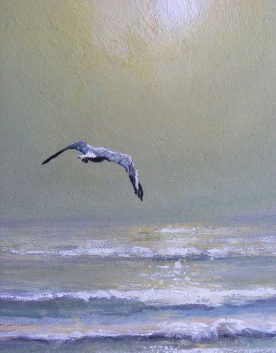 "Seagulls in the haze of morning" SPECIAL PRICE !!!!