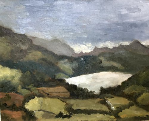 Snowdonia landscape - An original plein air oil painting by Julian Lovegrove Art