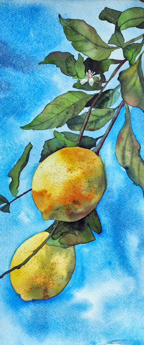Lemon branch by Delnara El