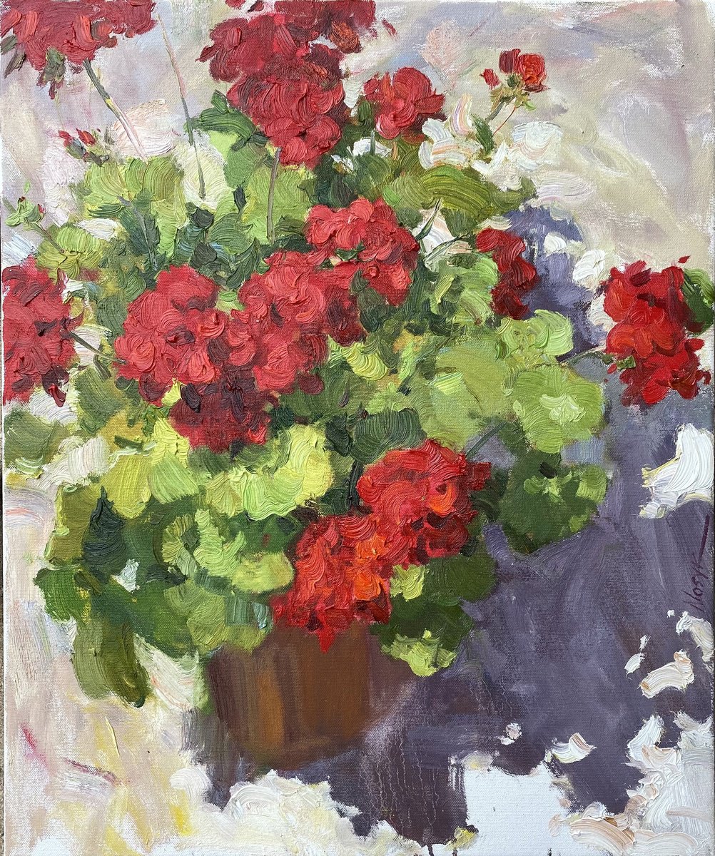 Red Geranium Flowers by Nataliia Nosyk