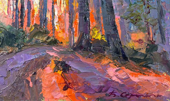 Summer Morning at Sunrise