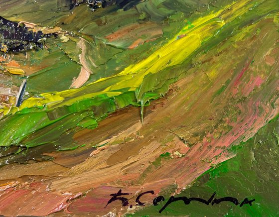 Where the Forest Touches the Mountains