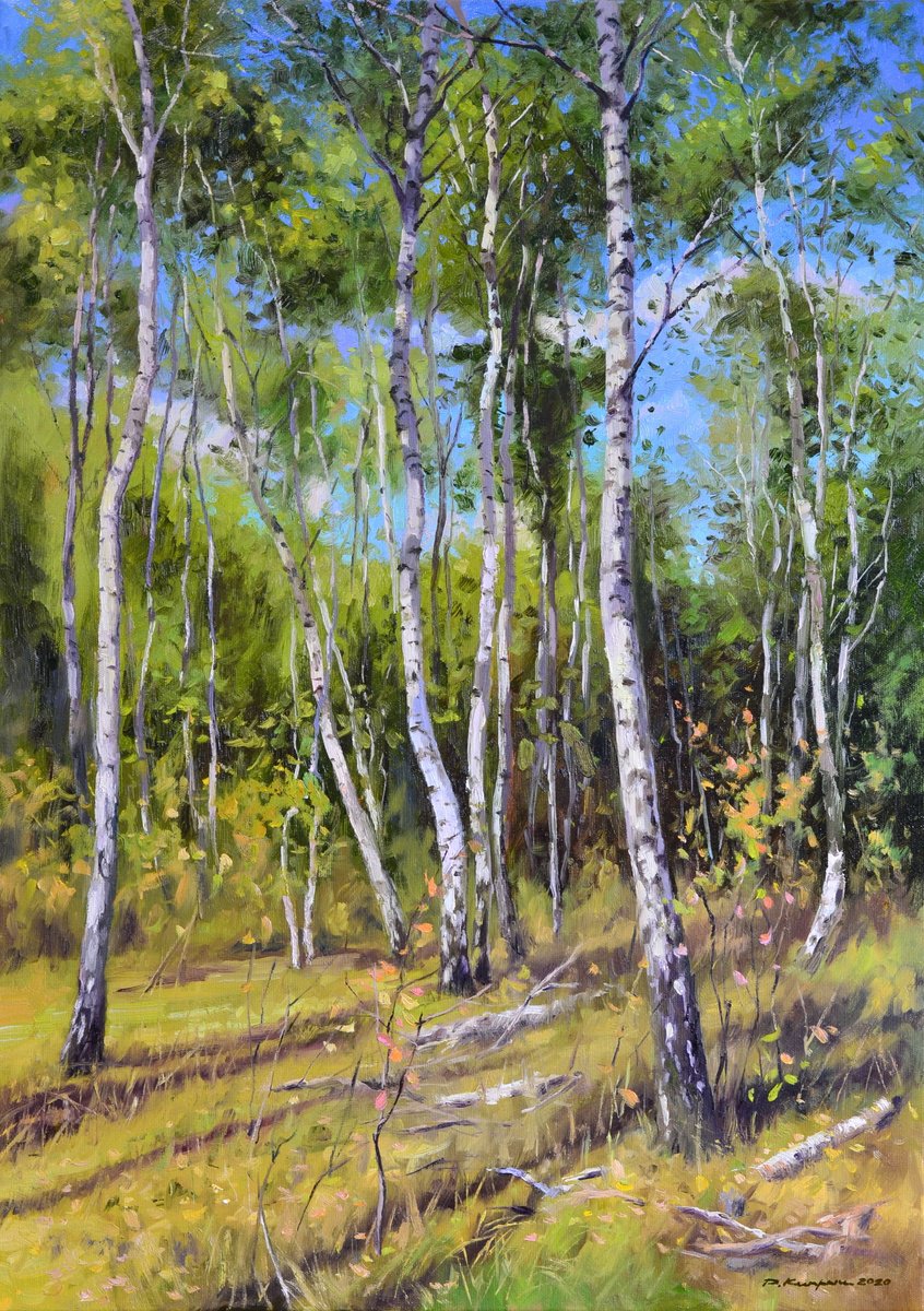 Impressionistic Landscape Oil Painting By Ruslan Kiprych, 20 X 28", Birch Grove, Original Artwork